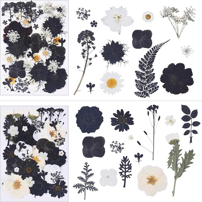 115Pcs Black Dried Pressed Flowers - Image 3