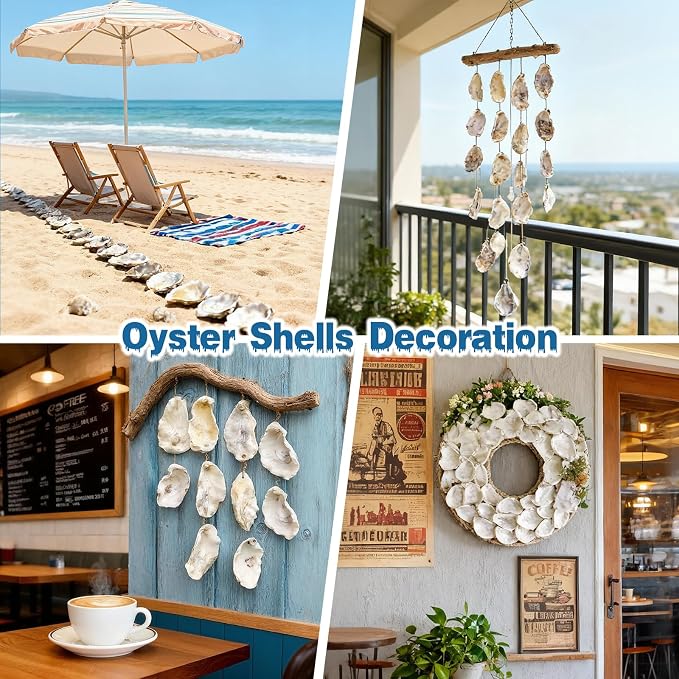30Pcs 4"-5" Concave Oyster Shells - Image 4
