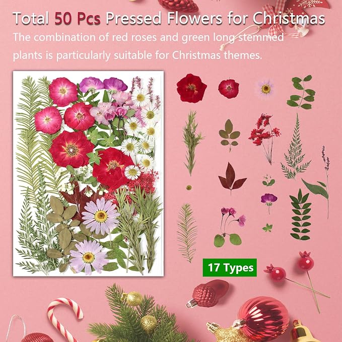 A5 Large Bulk Christmas Dried Pressed Flowers - Image 7