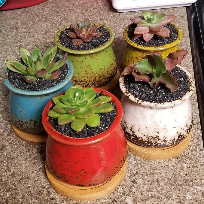 TOYPOPOR 6lb Succulents and Cactus Black Sand, Décor & Additive Tiny Stones - Image 8