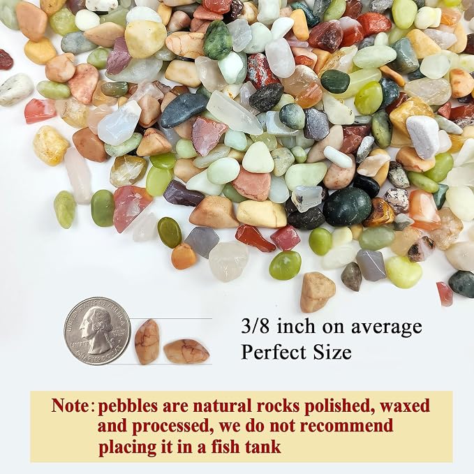 FANTIAN 2 Pounds Pebbles for Plants, 3/8 Inch Succulent Rocks, Decorative - Image 2