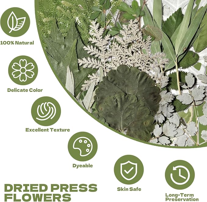 63 Pcs Pressed Leaves, 21 Styles Dried Flowers - Image 3