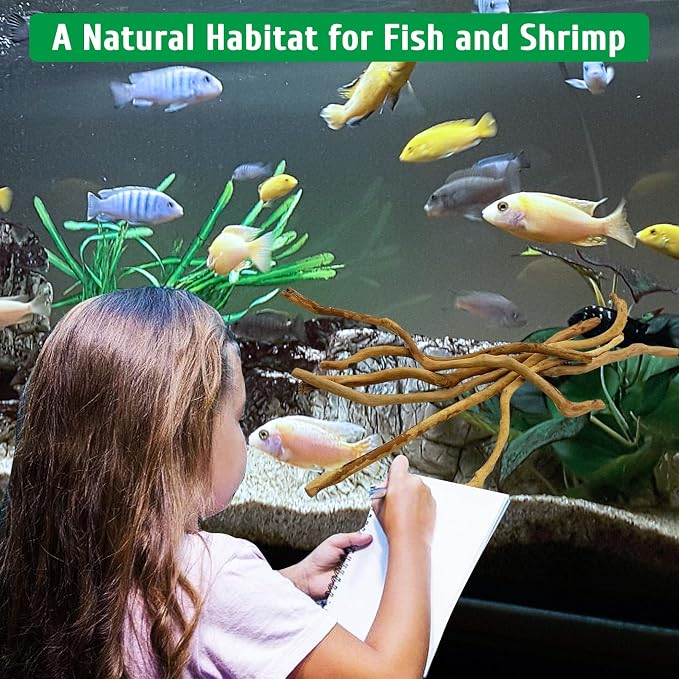 kathson Natural Driftwood for Aquarium - Image 8