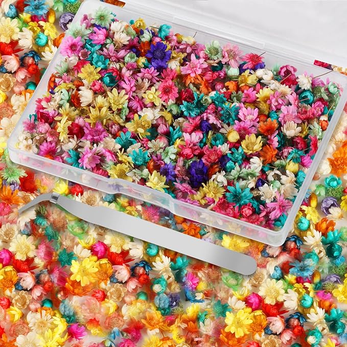 1000 Pcs Mini Dried Flowers for Resin, Small Dried Flowers for Crafts Resin by MUZHUPGUZ