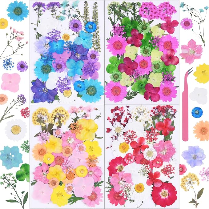 141Pcs Colorful Dried Pressed Flowers by Unknown