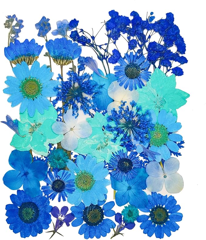 14 Types 37pcs Blue Dried Pressed Flowers by YouthBro