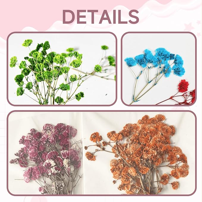 9 Pack Dried Flowers, Natural Pressed Flowers Kit - Image 5