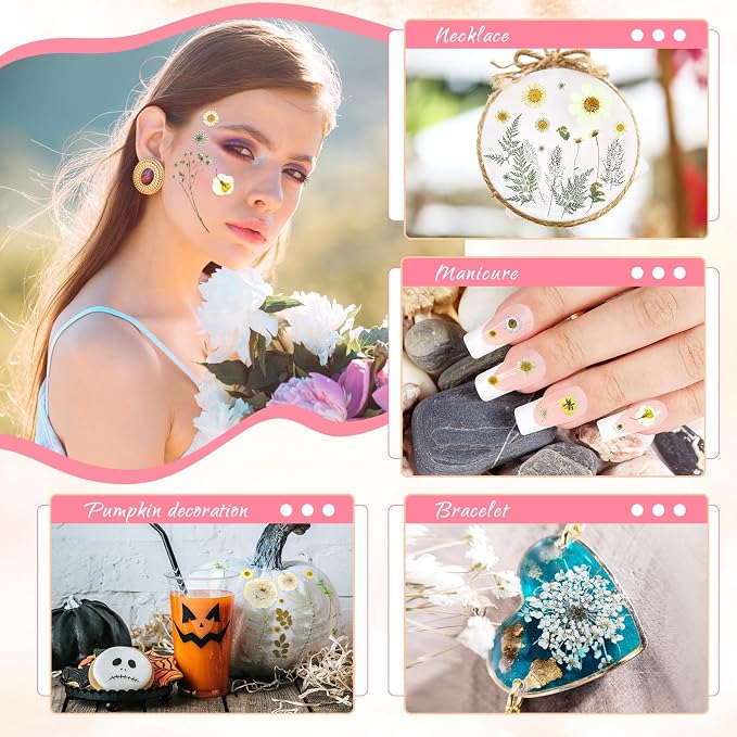 EBOOT 72 Pcs Dried Pressed Flowers - Image 4