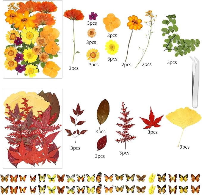 169Pcs Fall Dried Pressed Flowers - Image 3