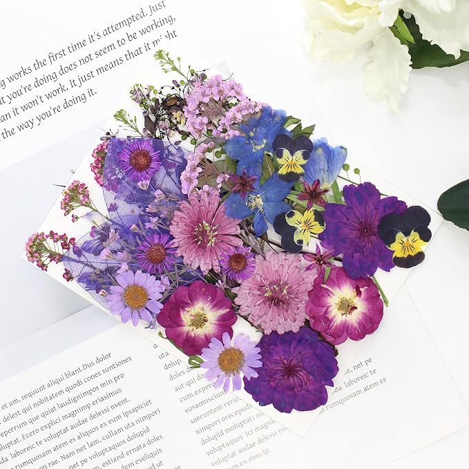40 Pcs Purple Dried Pressed Flowers Real Natural - Image 5