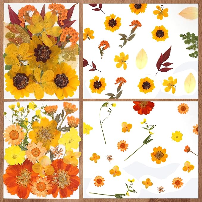Dried Flowers | 68Pcs Fall Pressed Flower - Image 3