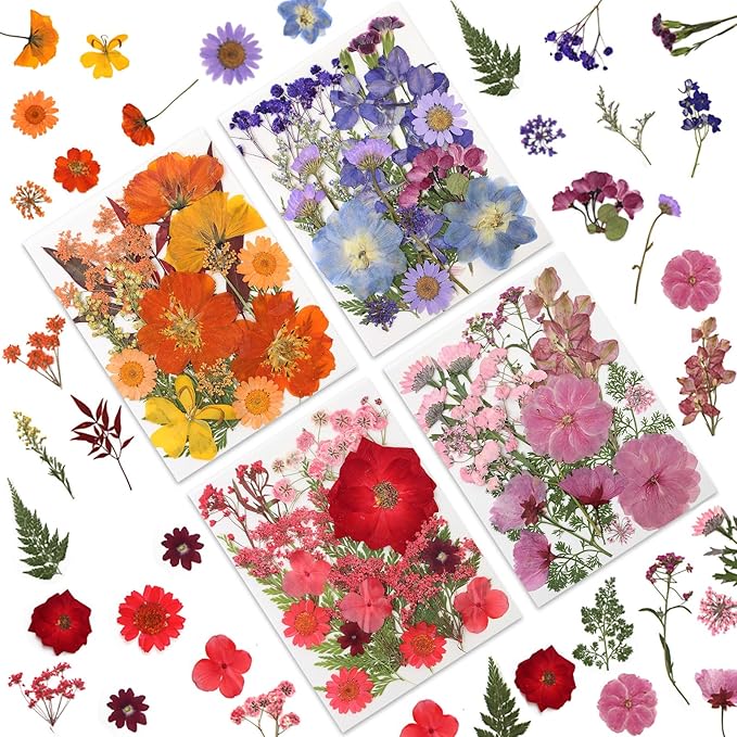 LUXEEASE 80P Vibrant Multicolor Dried Pressed Flowers | No matching needed by LUXEEASE