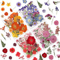LUXEEASE 80P Vibrant Multicolor Dried Pressed Flowers | No matching needed by LUXEEASE