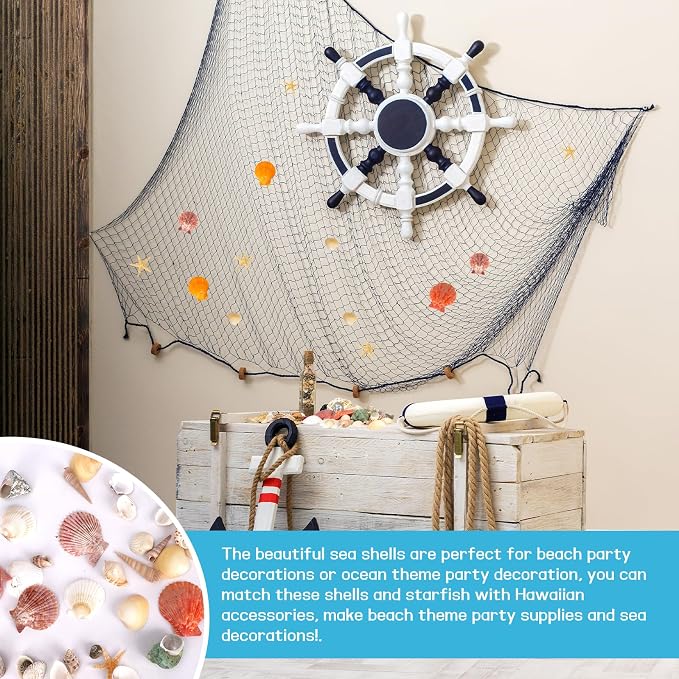WEOXPR Mixed Sea Shells, 300+ Pcs Beach Seashells Starfish, Various Sizes Ocean - Image 7