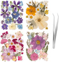 80PCS Spring Large Pressed Flowers Leaves, Real Nature Dry Flowers by LGFMGWH