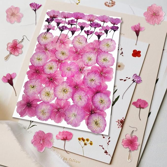 51 Pcs Real Natural Cherry Blossom Dried Pressed Flowers - Image 2
