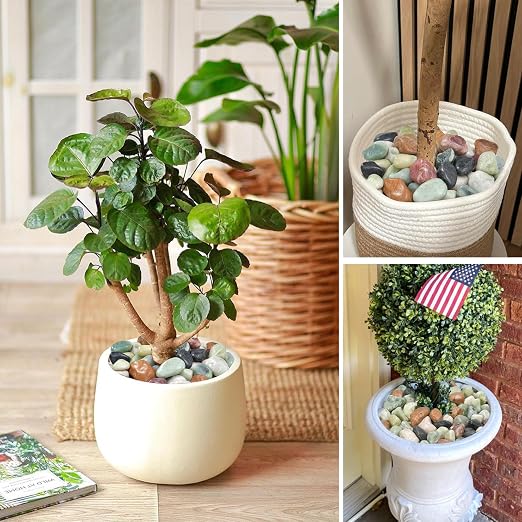 10 lb Pebbles for Indoor Plants, 1-2 Inch Decorative Rocks for Potted Plants - Image 5
