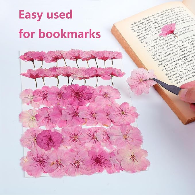 48 Pcs Mix Natural Dried Pressed Cherry Blossoms - Image 3