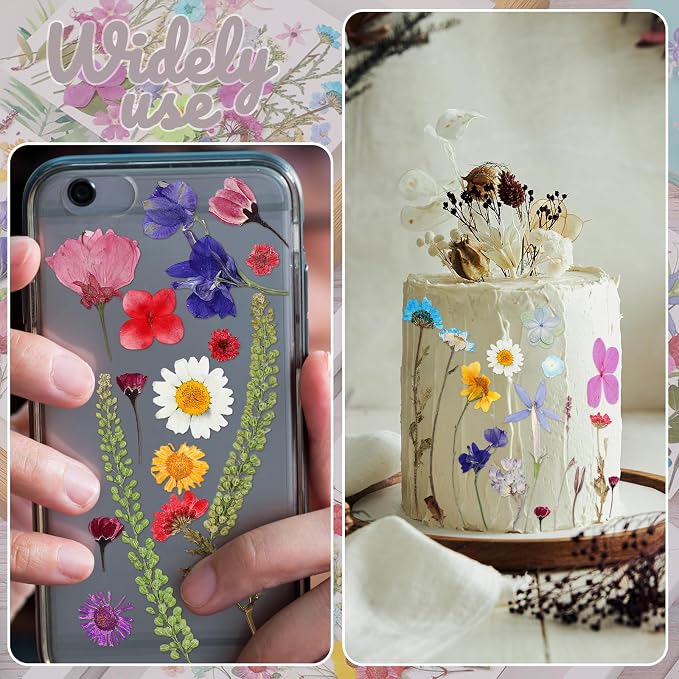 Nuanchu Small Dried Flower for Craft Resin Mini Pressed Flowers Bulk Real Tiny - Image 6