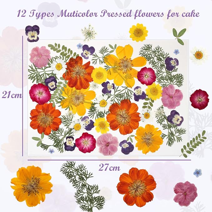 48 Pcs Mix Natural Dried Pressed Flowers - Image 6