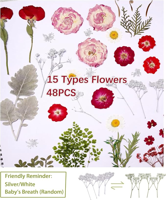48 Pcs Mix Natural Dried Pressed Flowers - Image 5