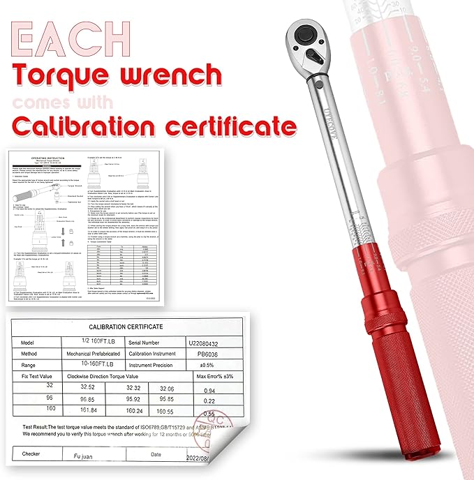 1/2-Inch Drive Click Torque Wrench, Torque Wrench 1/2 Drive 10-160FT.LB/13.6-217N.M with a XIPE Storage Tray, Red