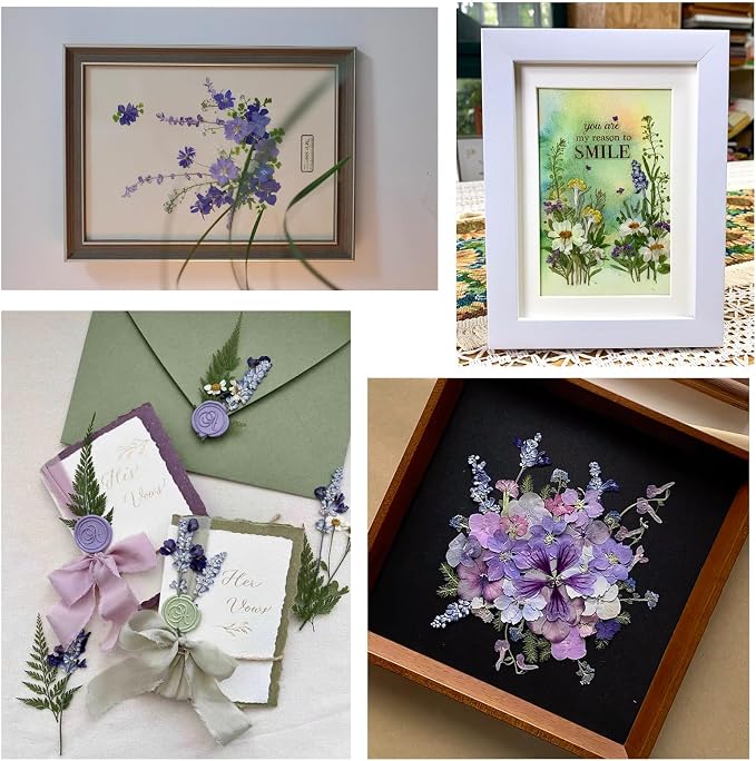 50Pcs Lavender Dried Pressed Flowers - Image 6