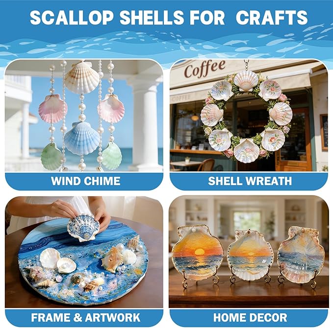 4-5 Inch Large Scallop Shells for Crafts, Ocean Themed Party Decor Supplies - Image 4
