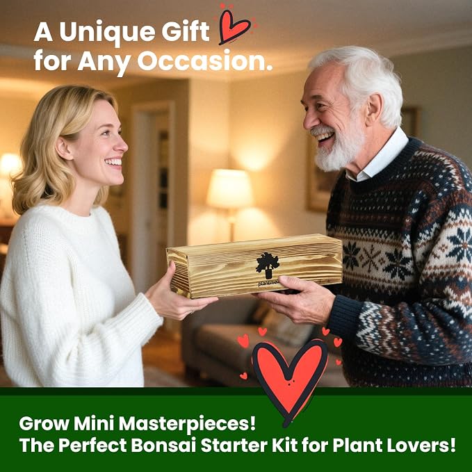 Bonsai Tree Kit for Beginners - Image 7