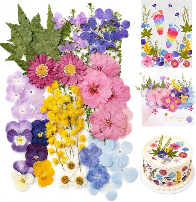 Real Dried Pressed Flowers for Crafts, Scrapbooking, Card Making, DIY by VitalForest