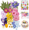 Real Dried Pressed Flowers for Crafts, Scrapbooking, Card Making, DIY by VitalForest