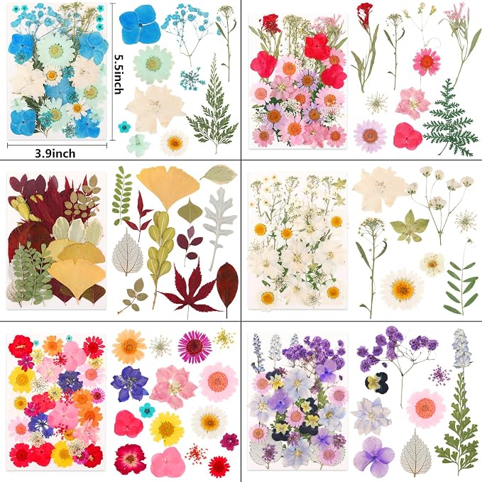 NESCCI 420 Pcs Dried Pressed Flowers - Image 5