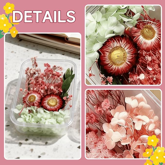 2PCS Dried Flowers Kit, Natural Dried Flowers Kit - Image 5