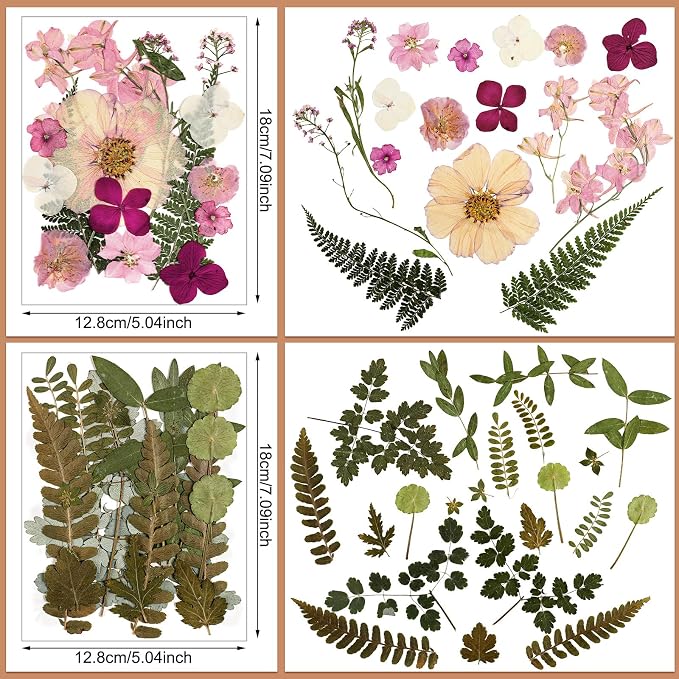 Nuanchu Dried Flower for Crafts Resin Pressed Flowers Bulk Real Dried - Image 4