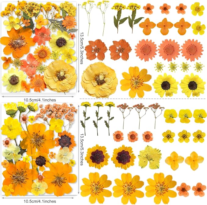 150PCS Yellow Dried Pressed Flowers - Image 3