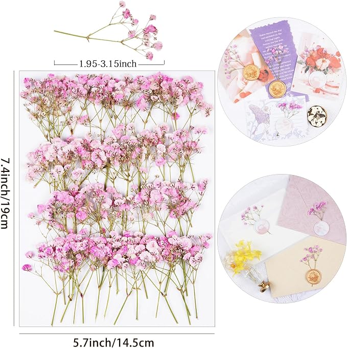 50Pcs Pink Babys Breath Dried Pressed Flowers - Image 2