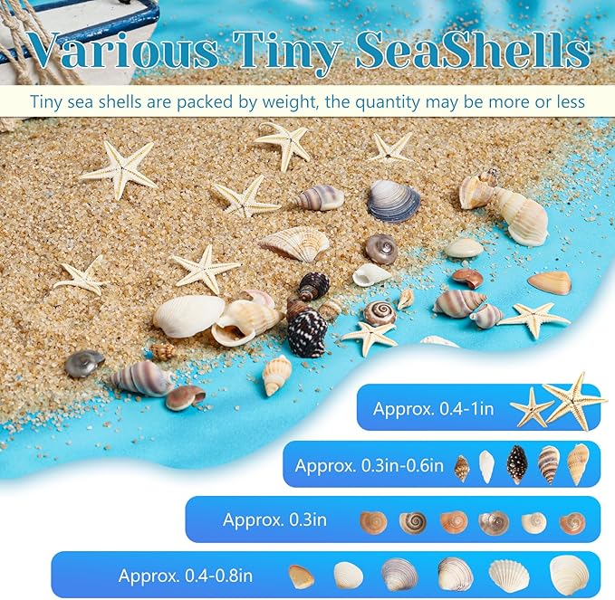 1200 Pieces Tiny Sea Shells Small Natural Starfish Mixed Ocean Beach Spiral - Image 3