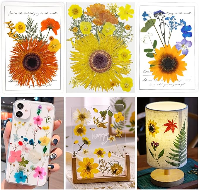 Woohome 44 PCS Orange Real Pressed Flowers, Dried Pressed Flowers - Image 2