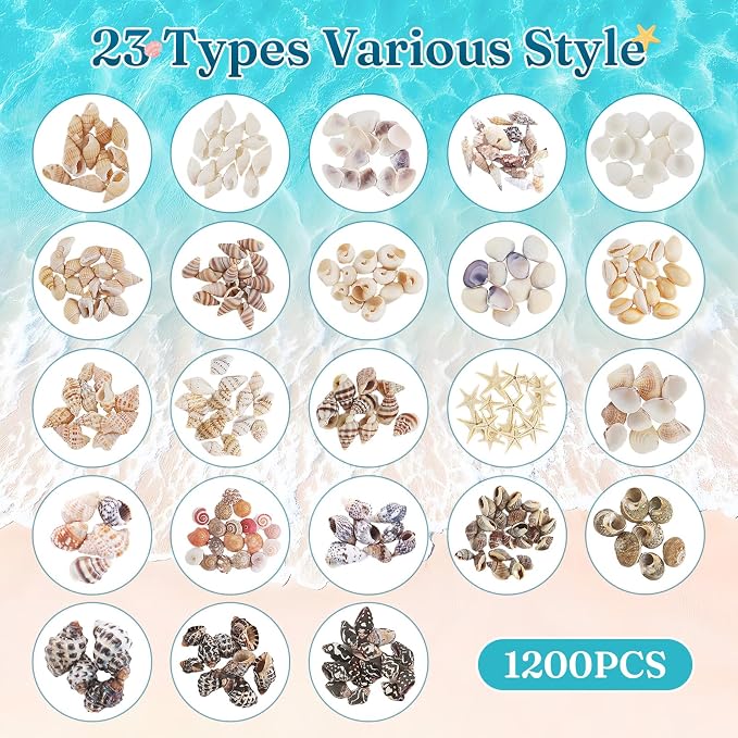 Zefy 23 Types Small Sea Shells for Crafts, Mini Shells for Vase Filler Beach - Image 2