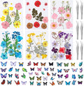 130 PCS Dried Pressed Flowers by Ovveroche