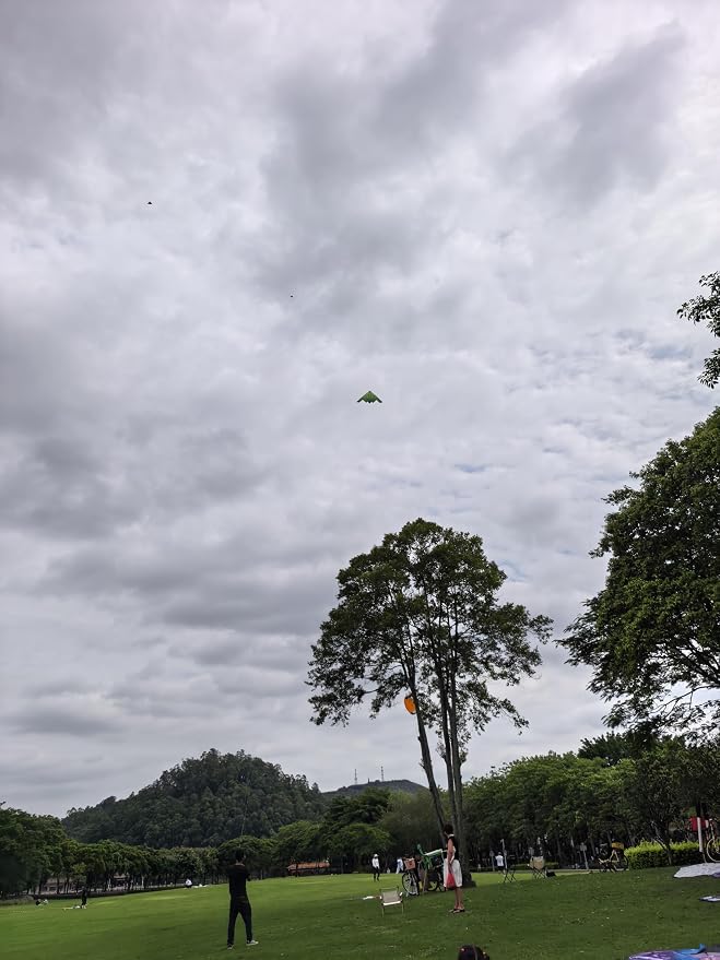 B2 Model Airplane Kite, Large Easy to Fly Kites Adults, 300FT String Reel - Image 7