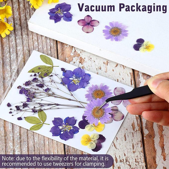 eBoot 72 Pcs Dried Pressed Flowers - Image 7
