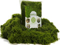 USMOLA 3.5OZ Fake Moss for Plants Indoor by USMOLA