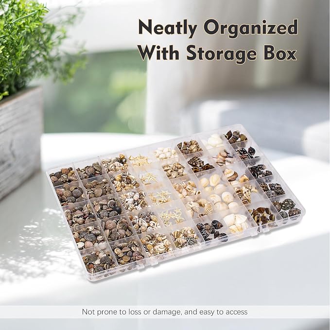 Small Sea Shells 1200Pcs Tiny Seashells Mixed Size Ocean Beach Starfish - Image 5