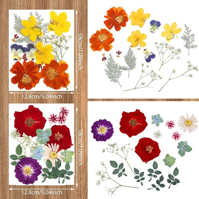 Nuanchu Dried Flower for Resin Crafts Pressed Flowers Bulk, Real Dried - Image 2
