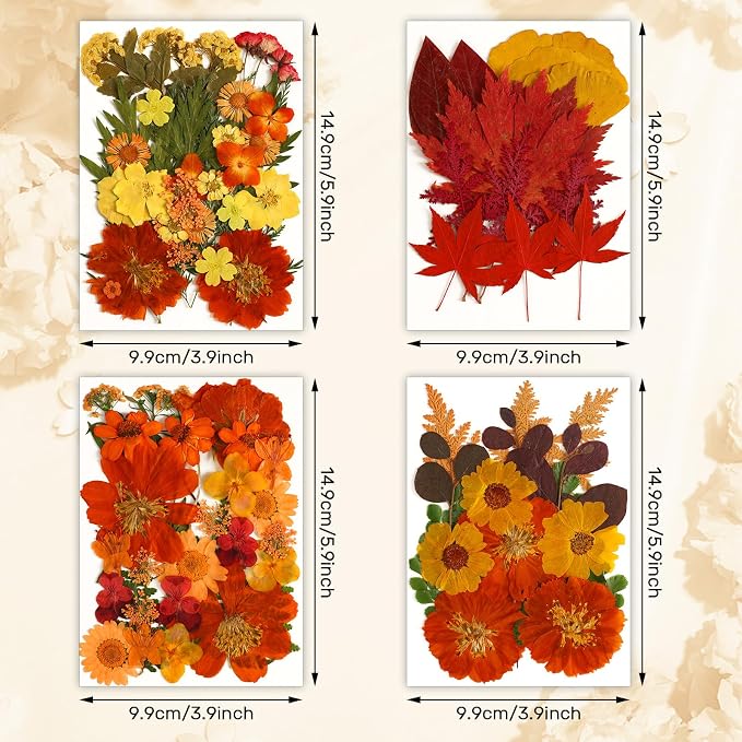 Augshy Fall Dried Pressed Flowers and Leaves - Image 2