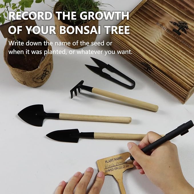 Bonsai Tree Starter Kit for Beginners - Image 6