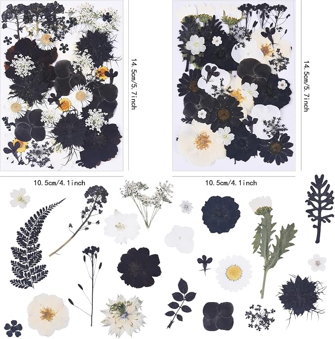115Pcs Black Dried Pressed Flowers - Image 2