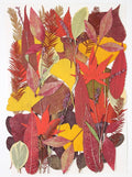 Large Bulk Fall Dried Pressed Leaves by ZMRU