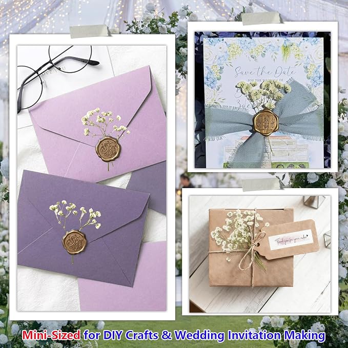 56Pcs Babys Breath Mini Dried Pressed Flowers - Image 5